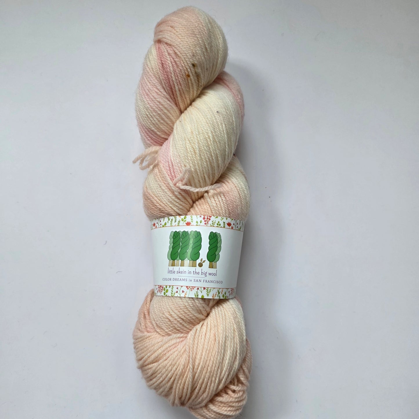 Little Skein in the Big Wool House sock Targhee