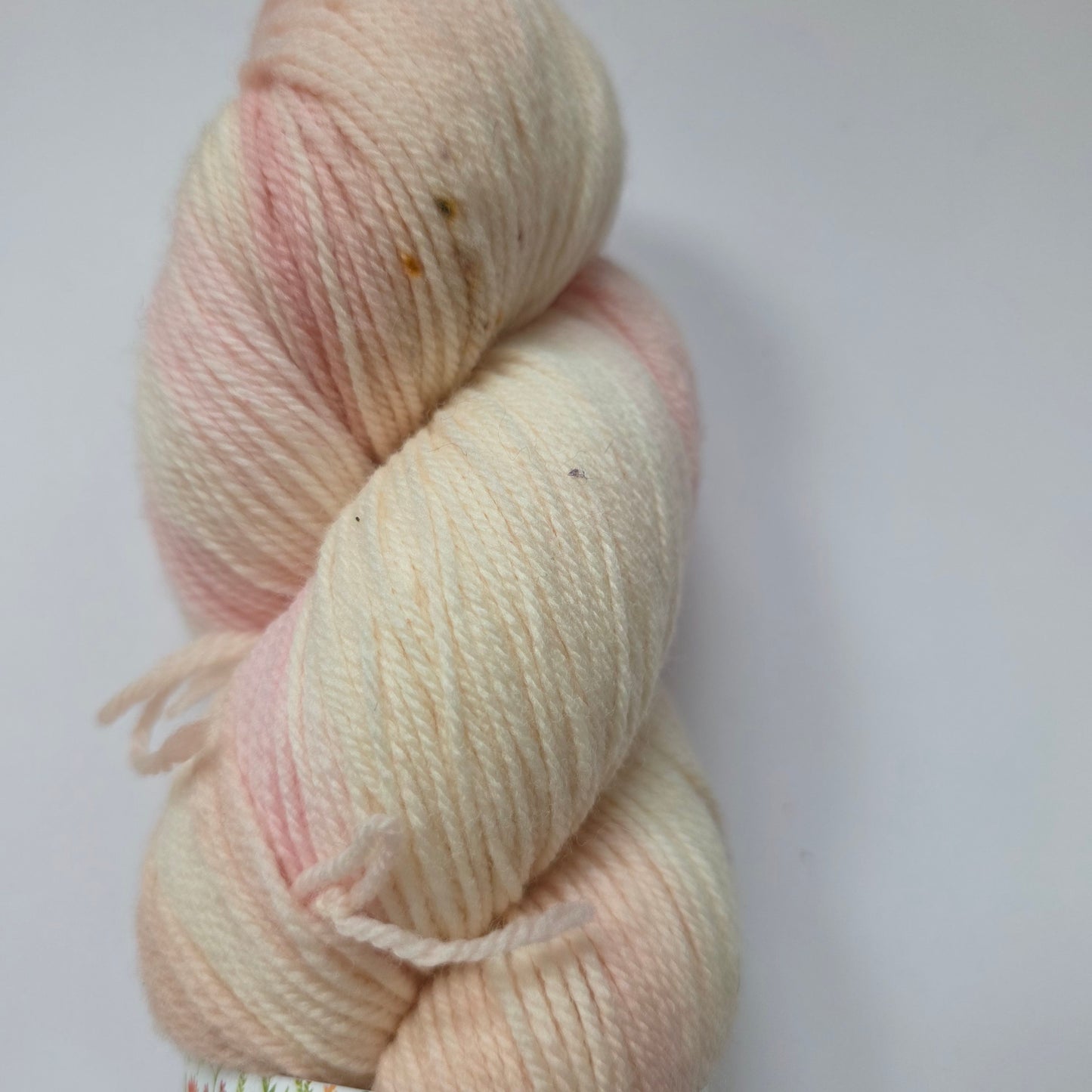 Little Skein in the Big Wool House sock Targhee