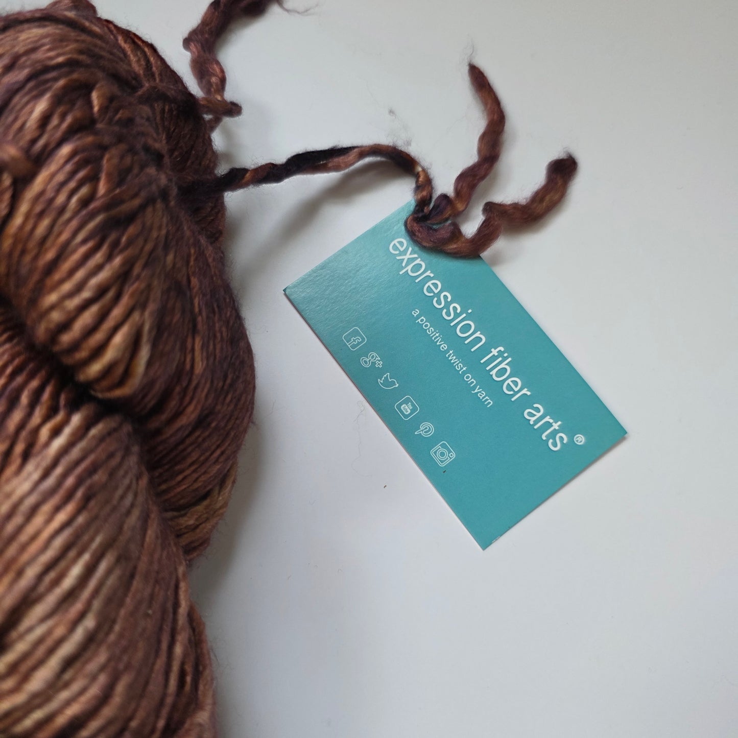 Expression Fiber Arts Pearlescent Worsted Merino Silk