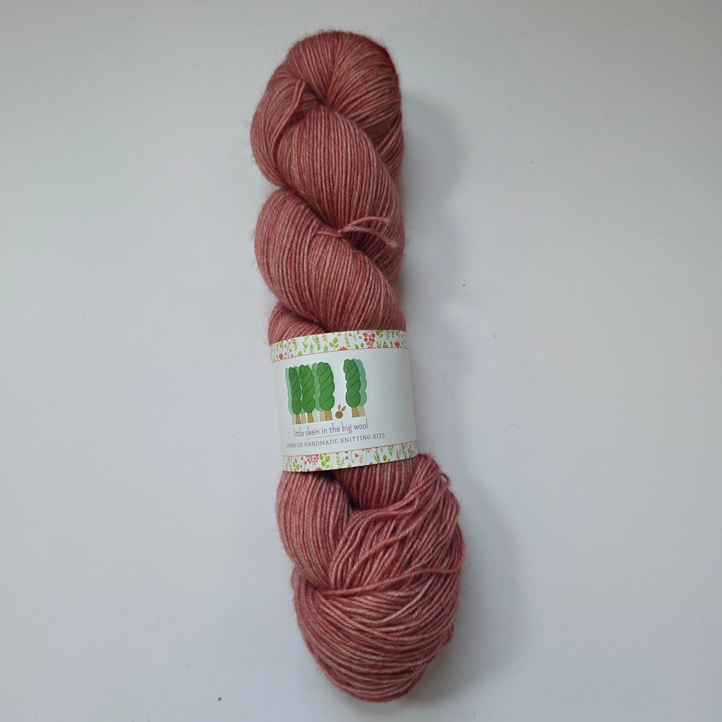 Little Skein in the big wool winter sock Fingering
