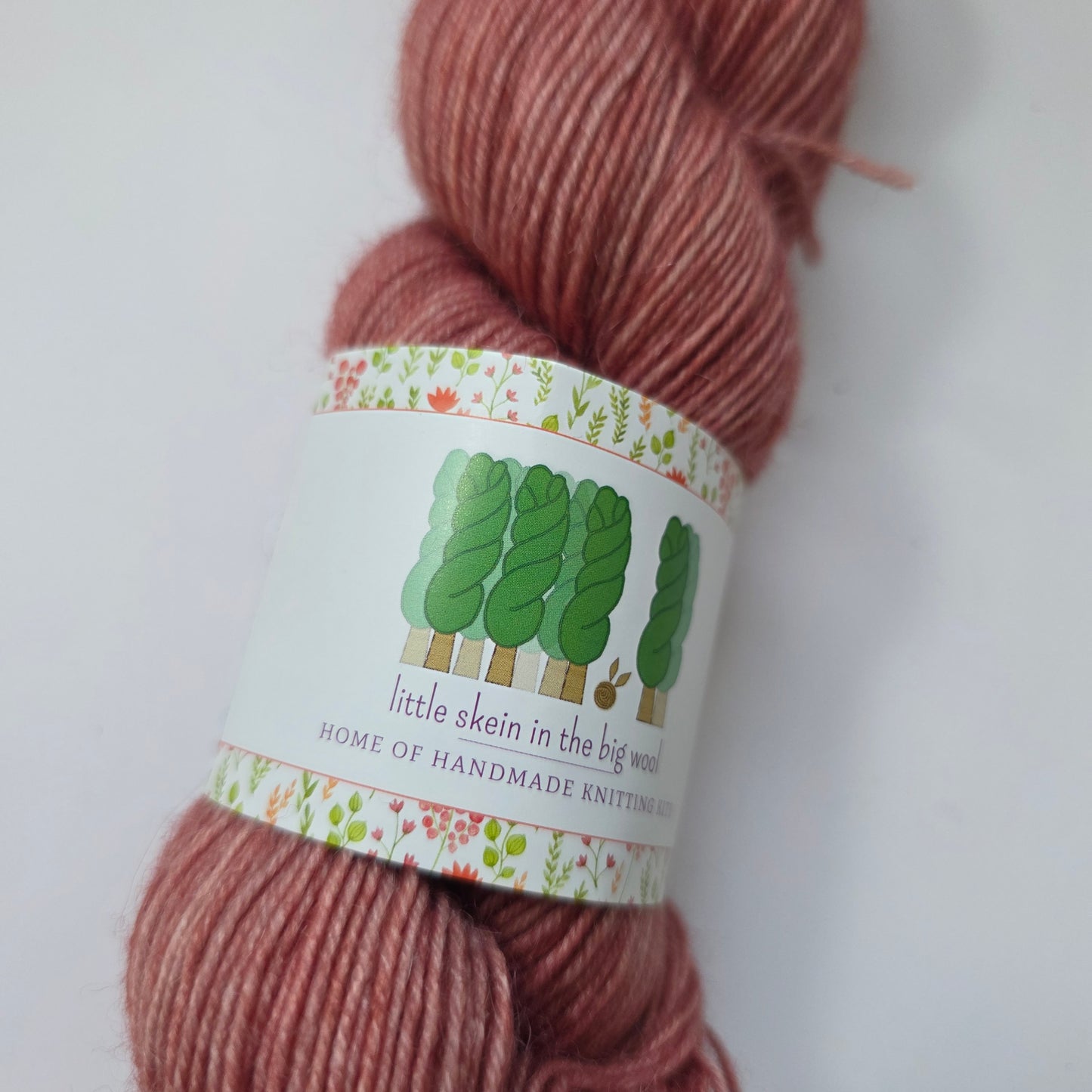 Little Skein in the big wool winter sock Fingering