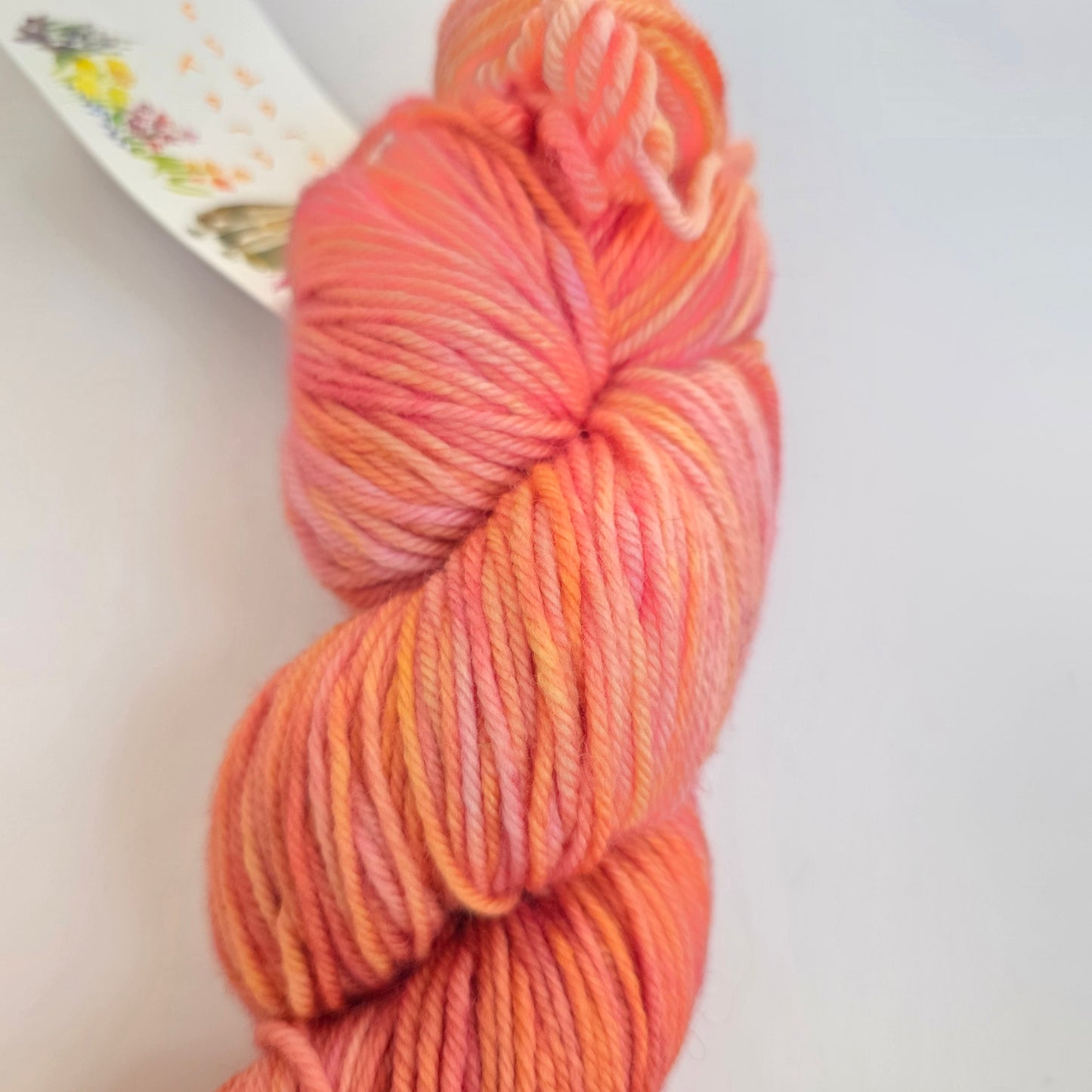 Sundara Aran Merino