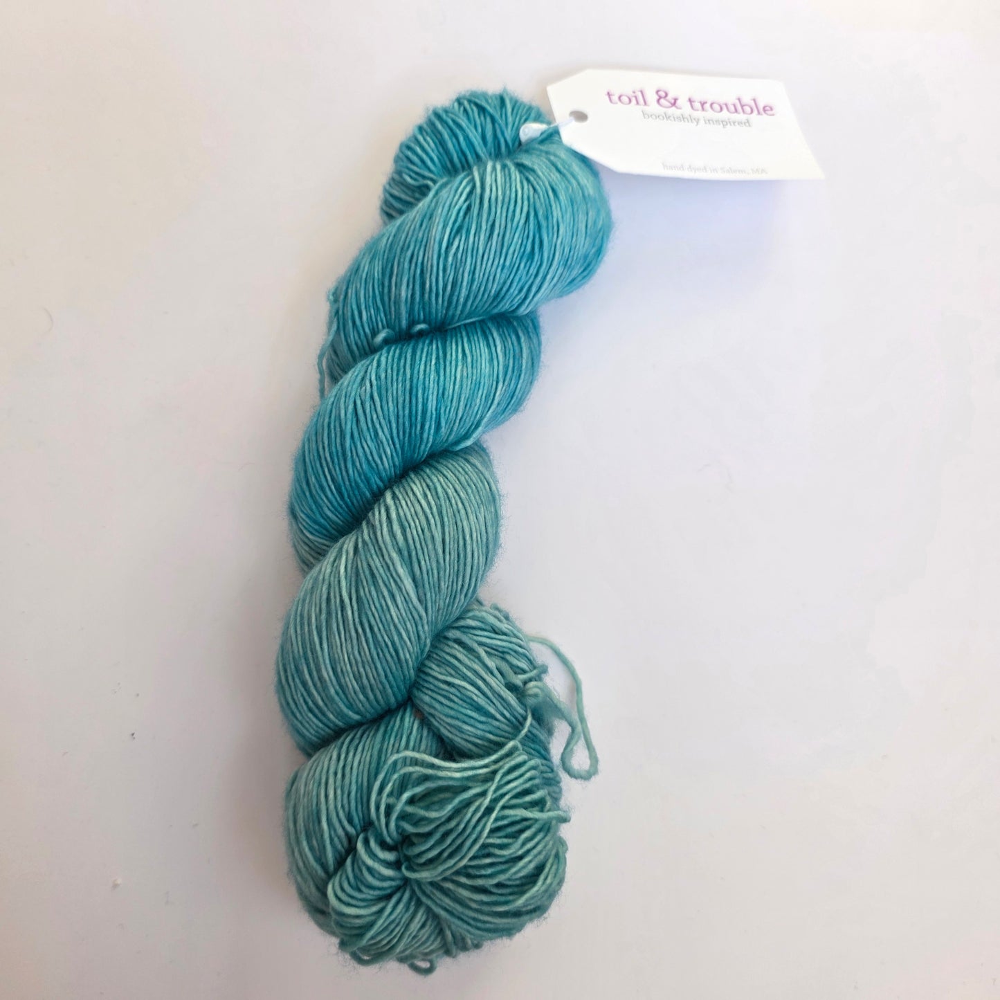 Toil & Trouble Allegory sock Fingering