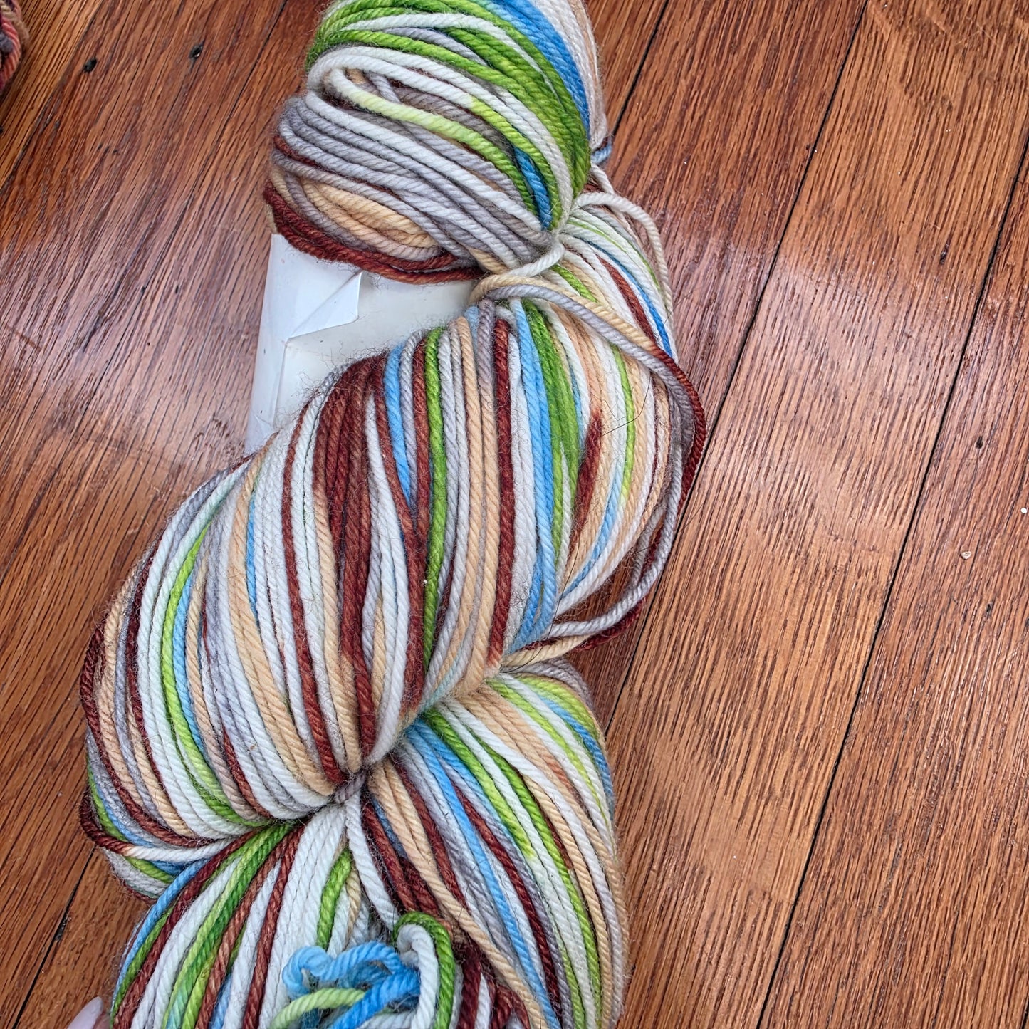 Dashing Dachs DK