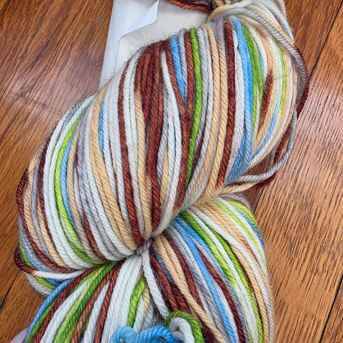 Dashing Dachs DK
