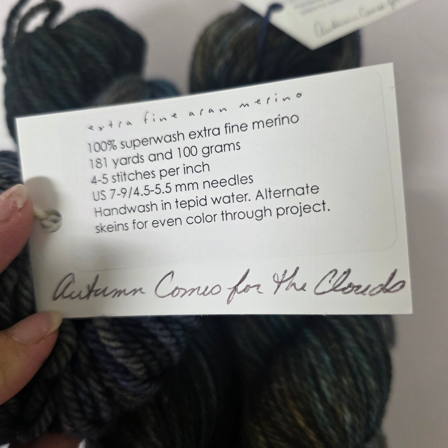 Sundara Yarn Extra Fine Aran Merino - Autumn comes for the clouds