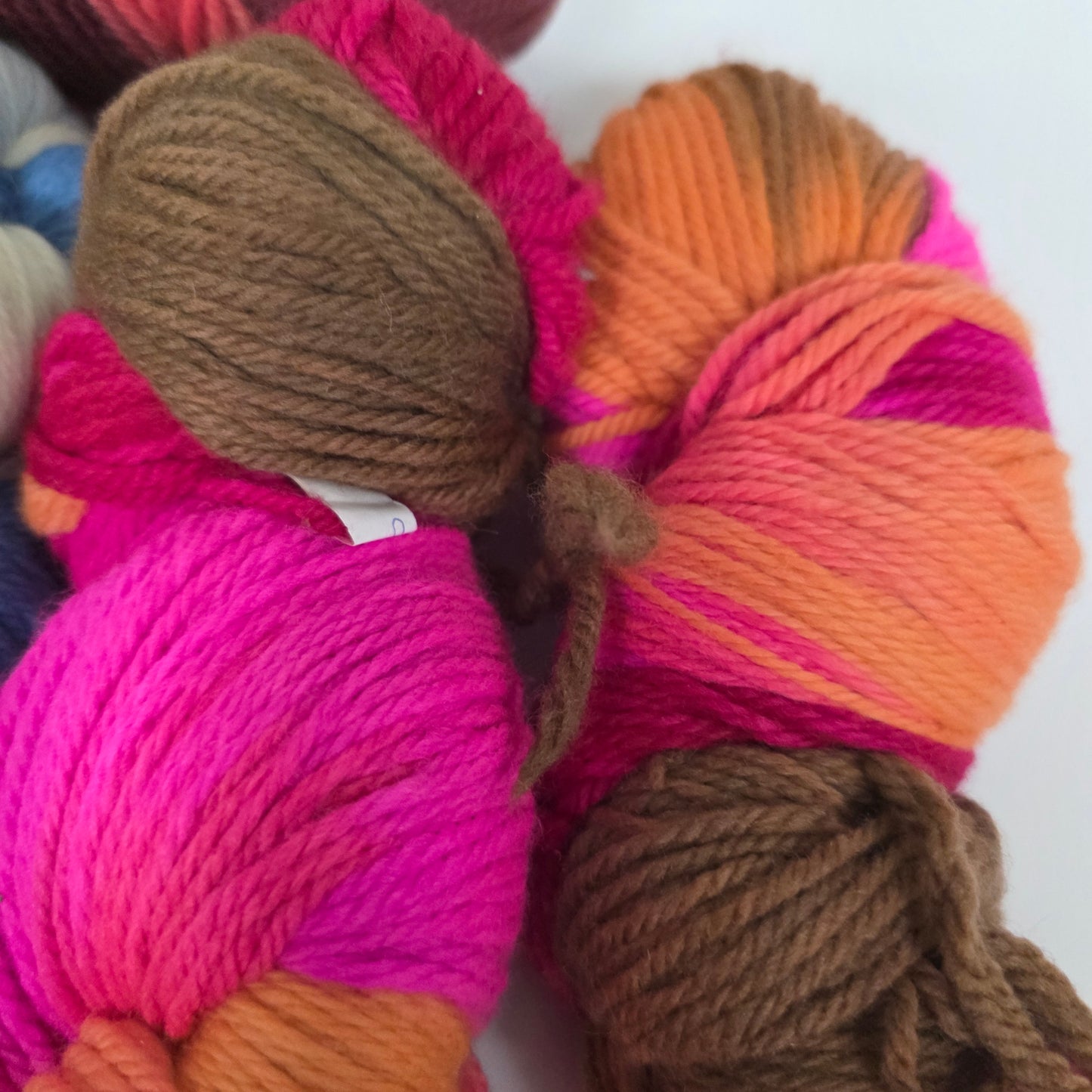 5 Skein Bundle, Dashing Dachs Worsted