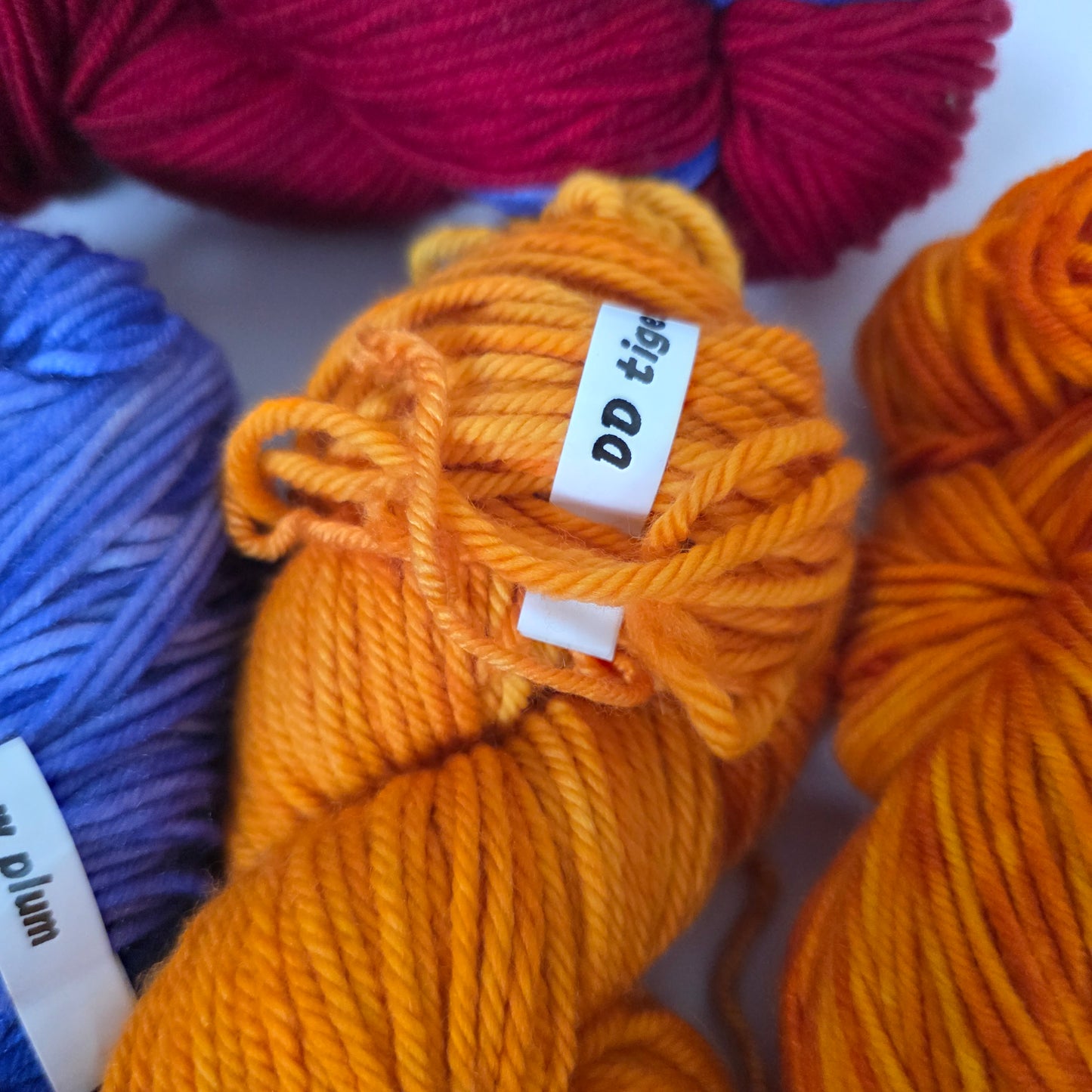 5 Skein Bundle, Dashing Dachs Worsted
