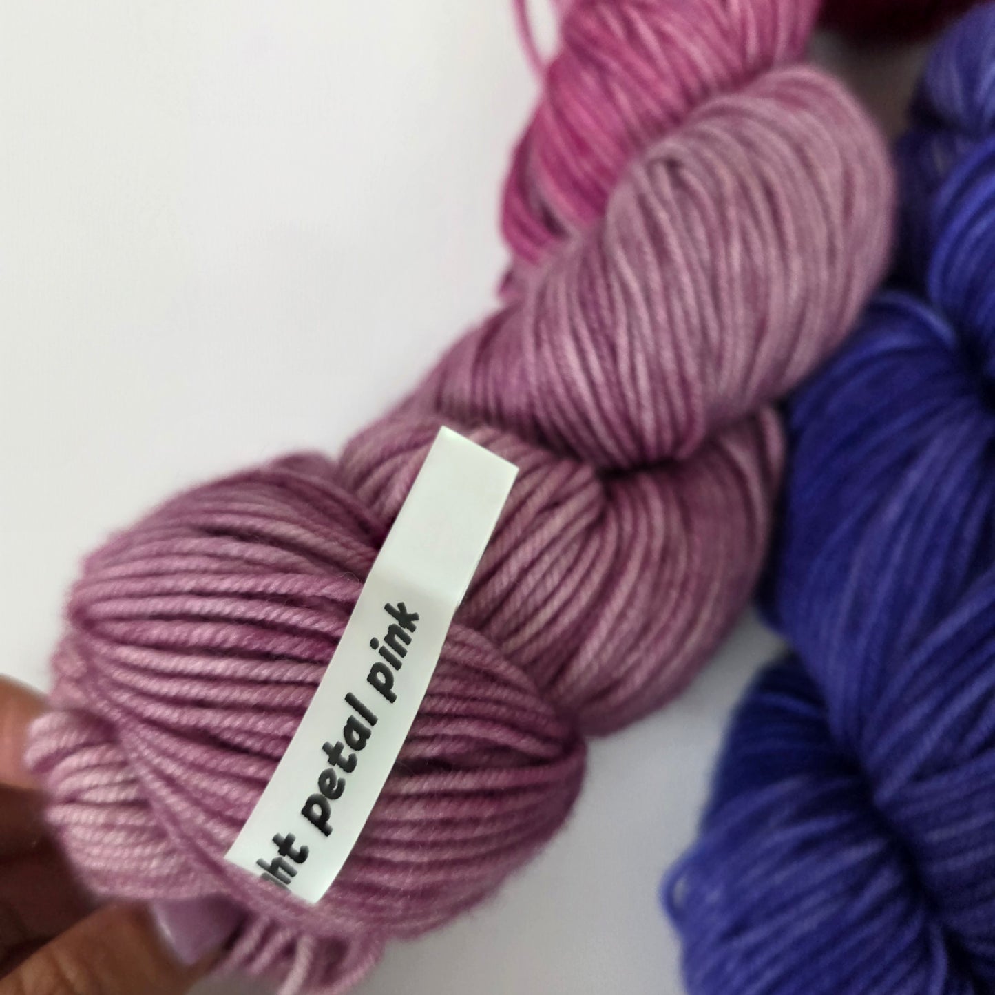 5 Skein Bundle, Dashing Dachs Worsted