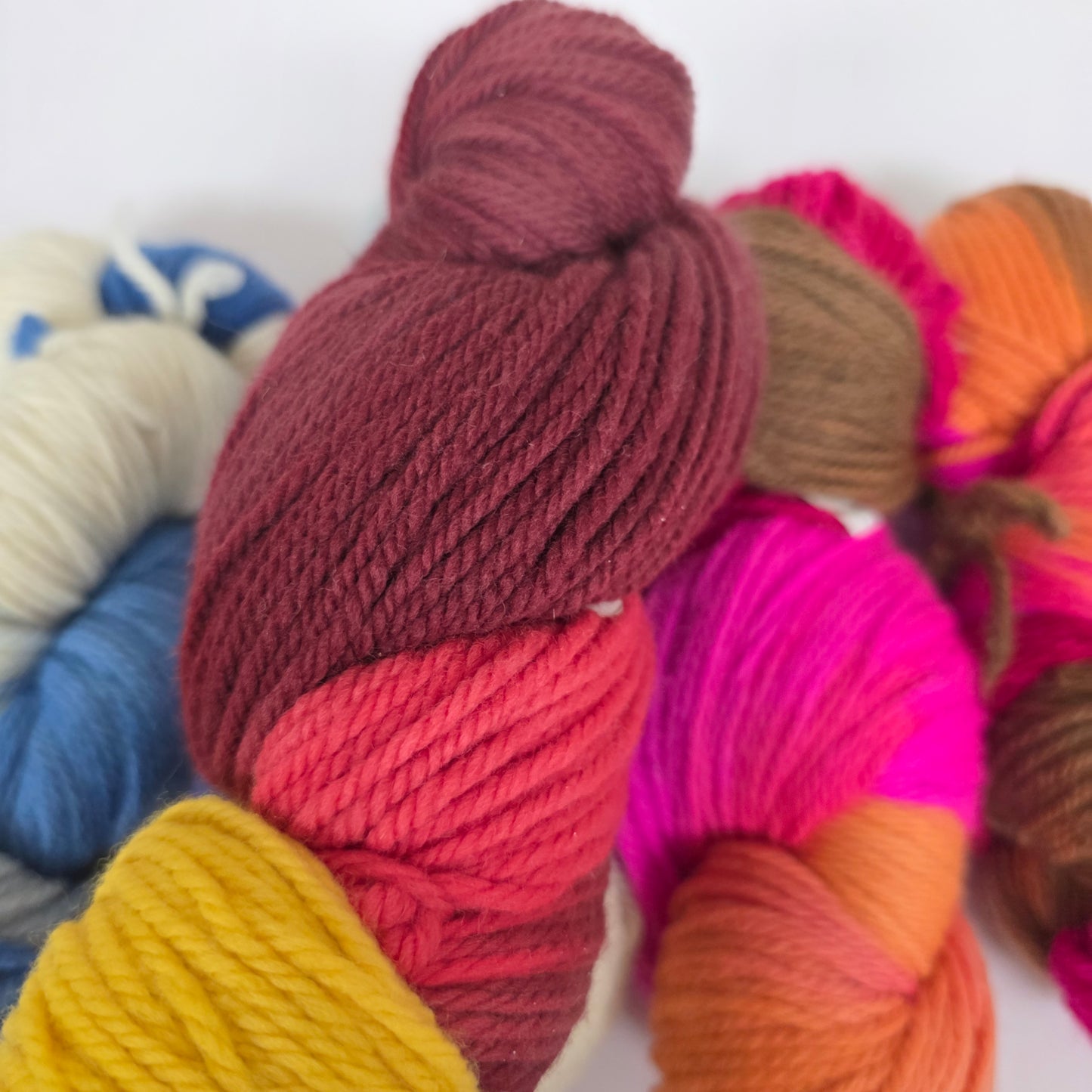 5 Skein Bundle, Dashing Dachs Worsted