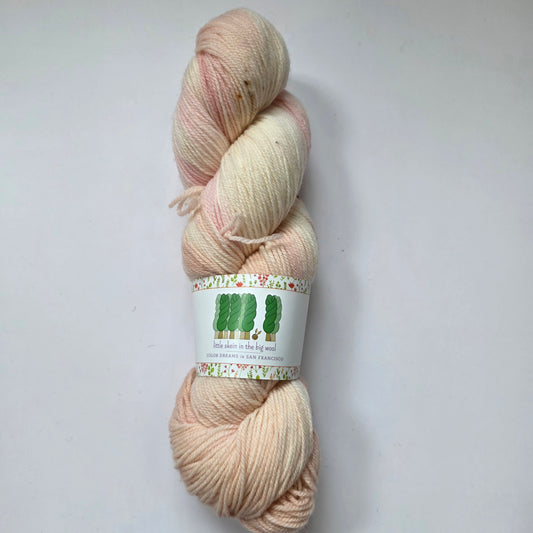 Little Skein in the Big Wool House sock Targhee