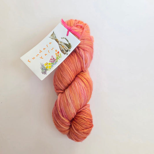 Sundara Aran Merino
