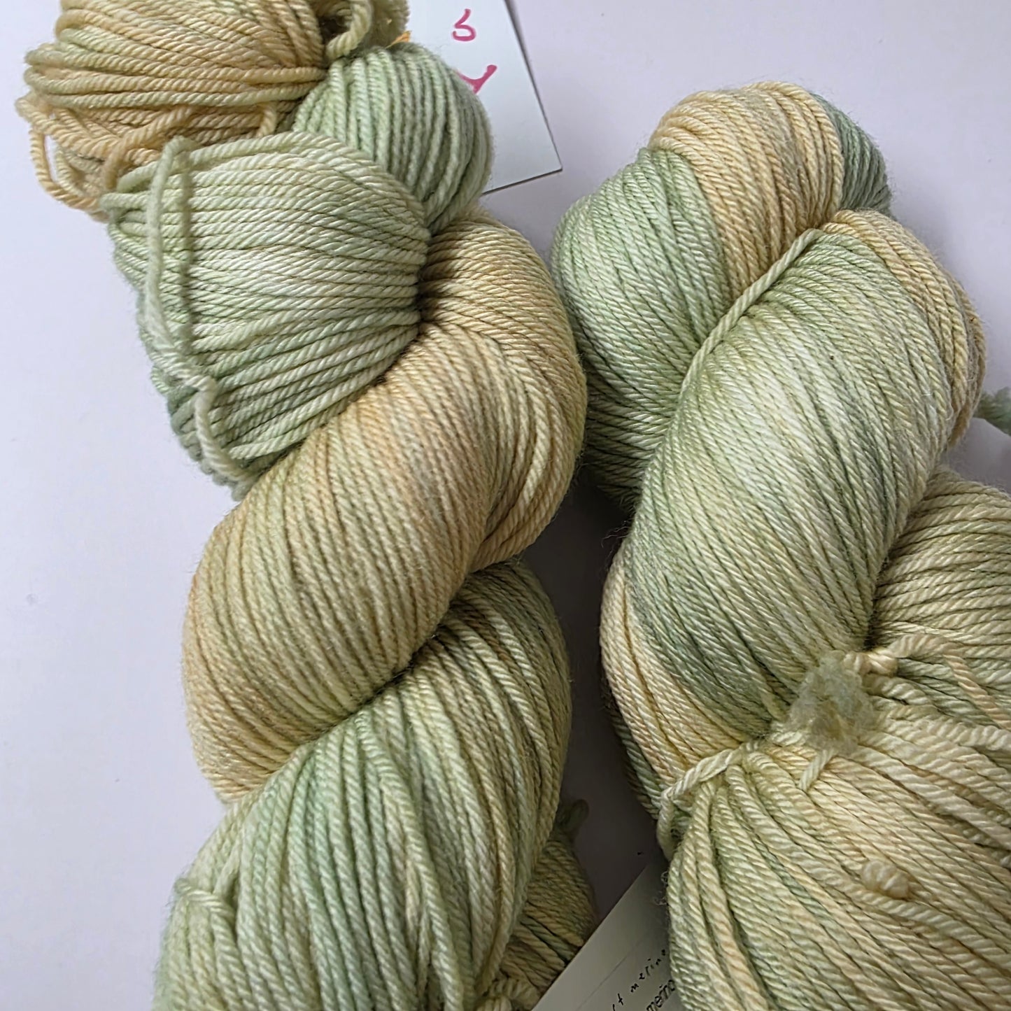 Sundara Yarn Sport Merino - boundless beaches