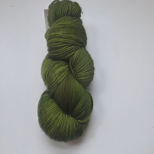 Dragonfly Fibers, Dragon Wagon - Traveller Superwash Merino DK Yarn