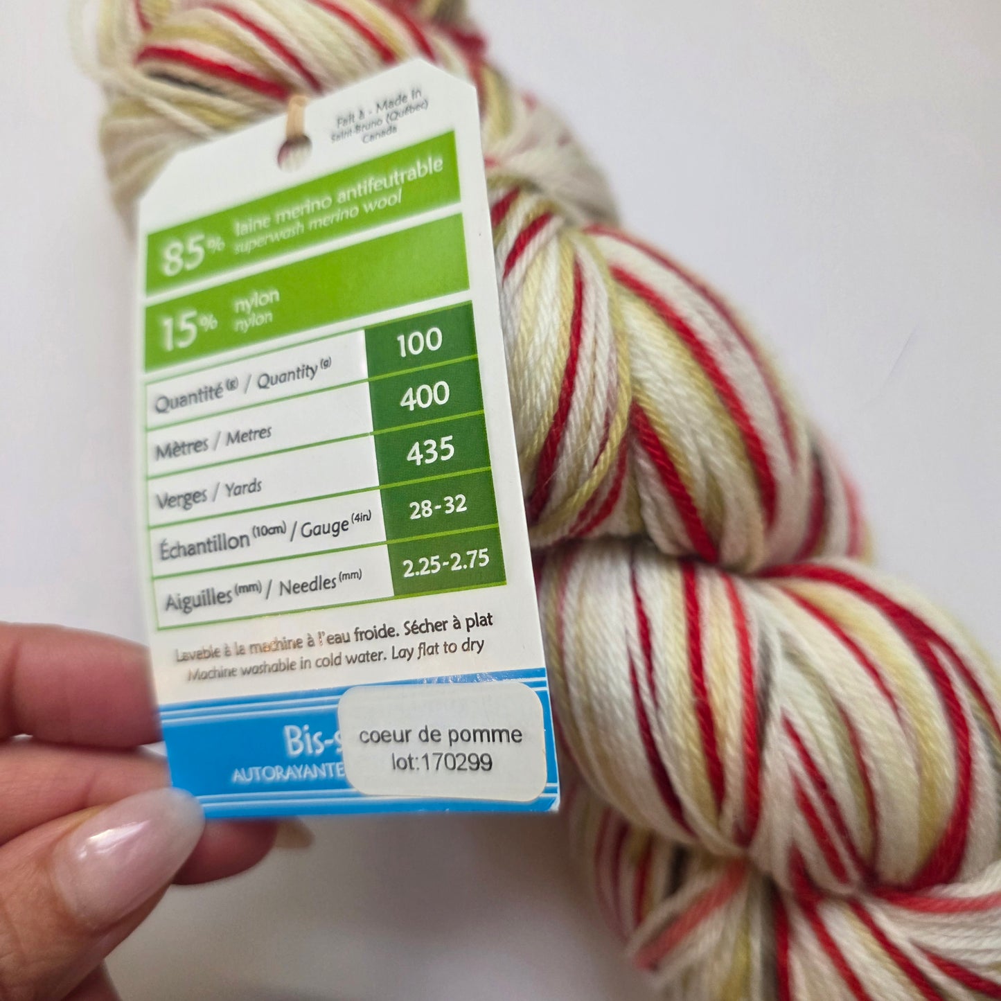 Biscotte Yarns - Coeur de Pomme - self striping