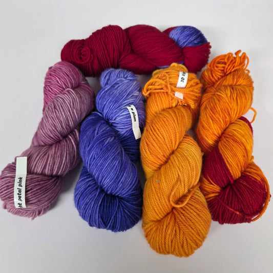 5 Skein Bundle, Dashing Dachs Worsted