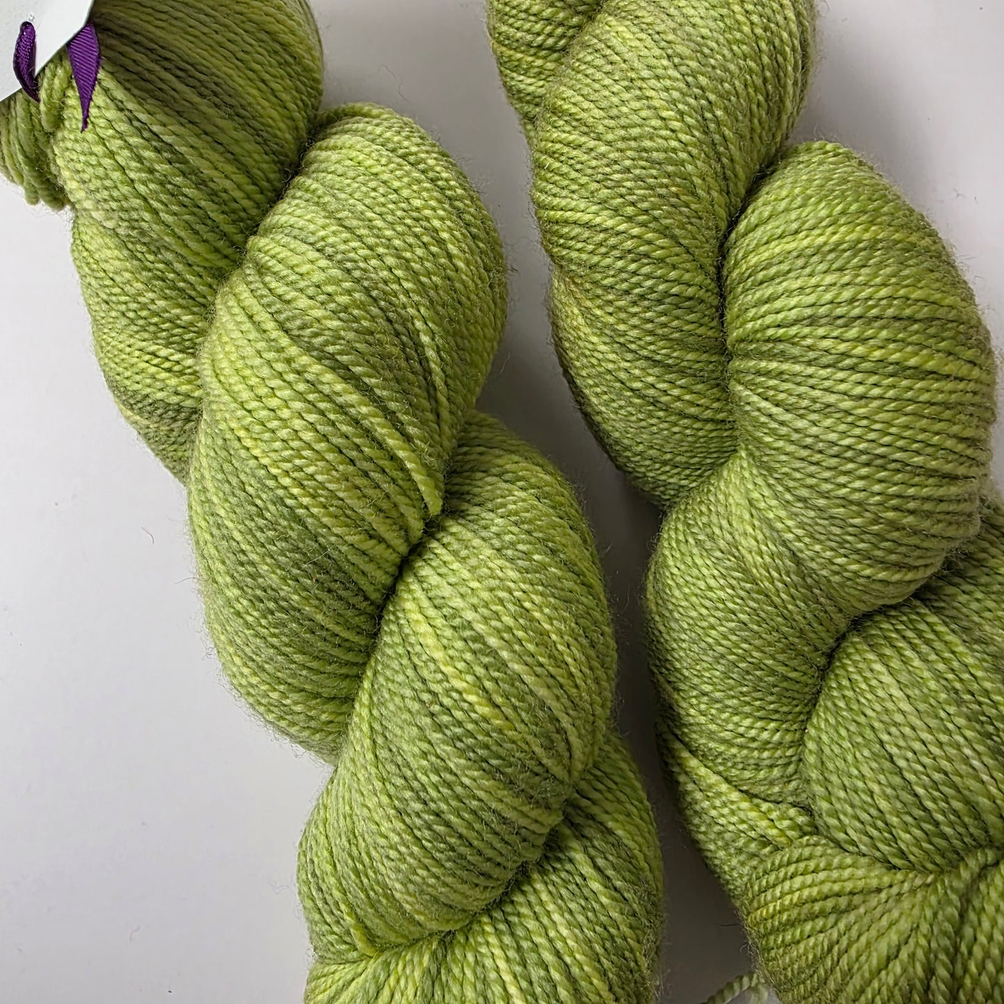 Sundara Sock fingering - Prickly Pear