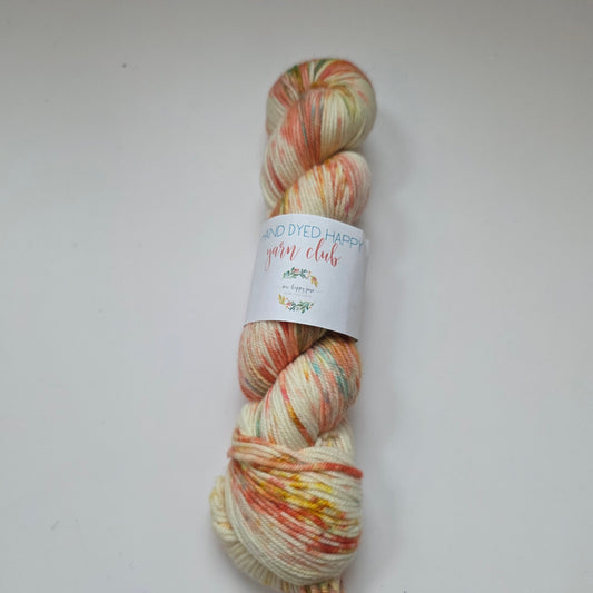 Sew Happy Jane, Organic Merino DK - Hand Dyed Yarn Club
