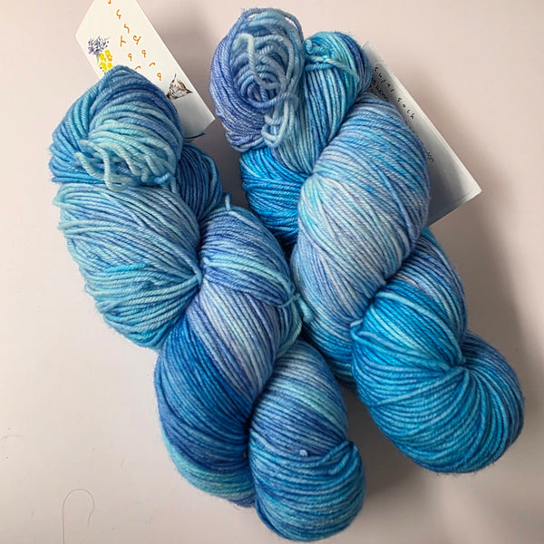 Sundara Super Sock fingering, happy spot