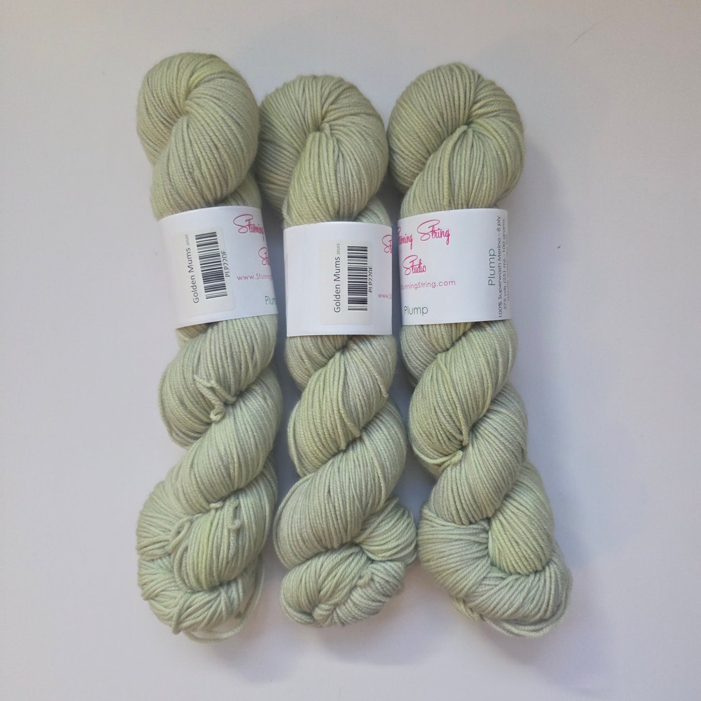 Stunning string studio Plump DK
