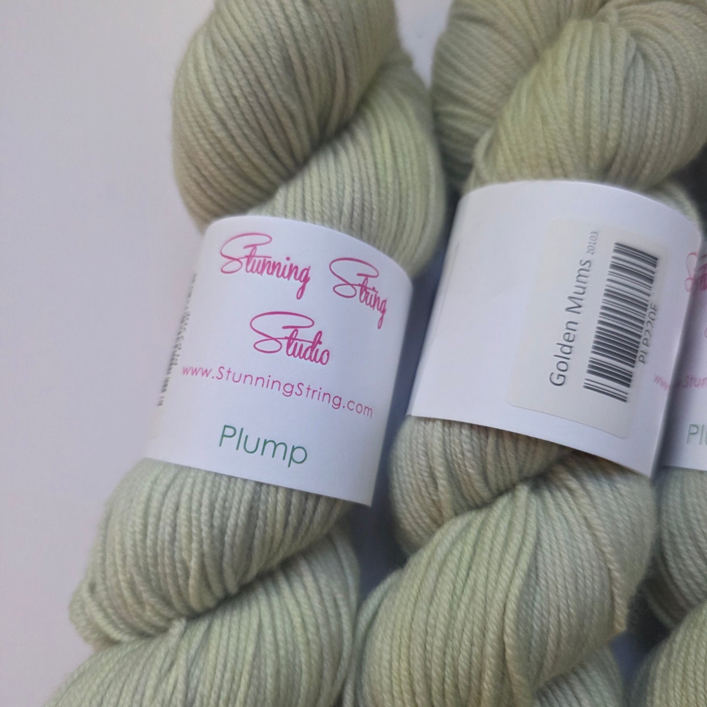 Stunning string studio Plump DK