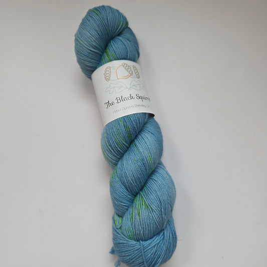 The Black Squirrel - Sea Forager