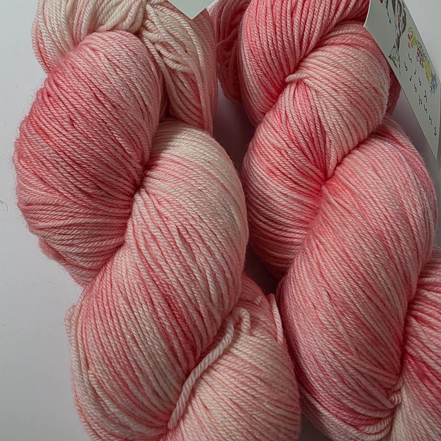 Sundara Yarn Sport Merino - inspired by monet